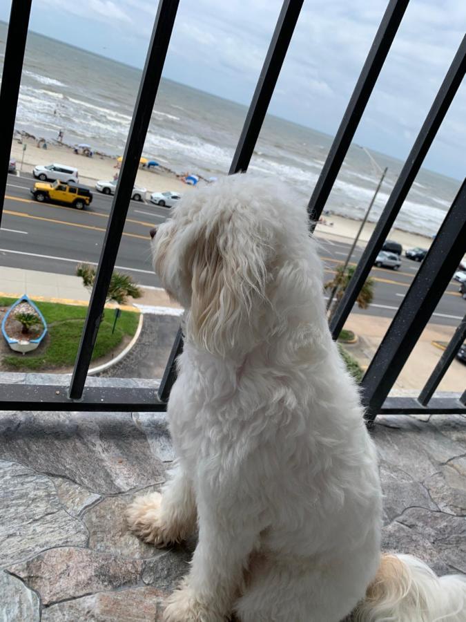 Amazing And Spectacular Ocean And Beach Views In Galveston Exterior foto